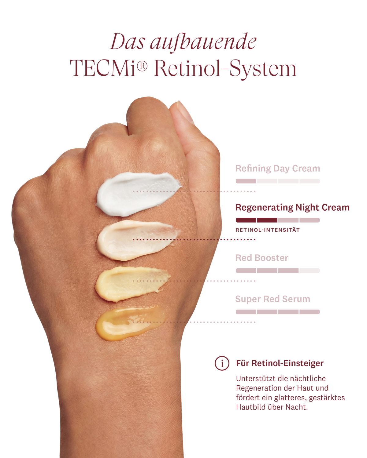 The New Regenerating Night Cream