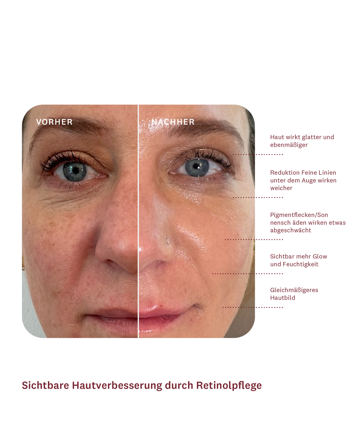 The New Regenerating Night Cream